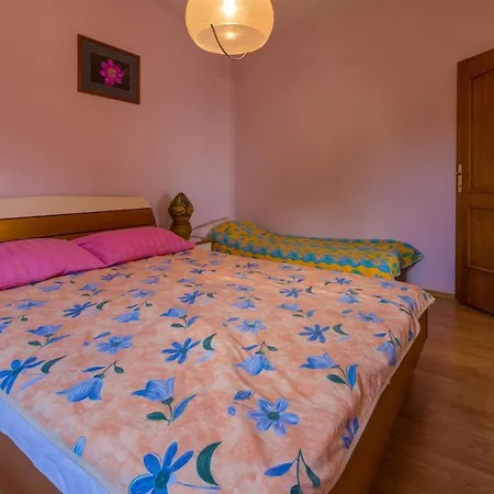 Apartment Djusi *